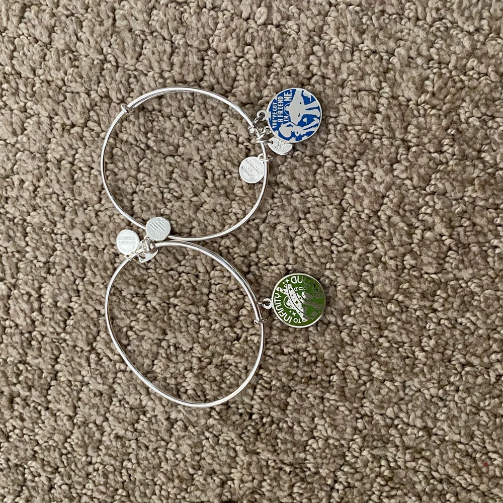 Disney Toy Story Alex and Ani Bracelets